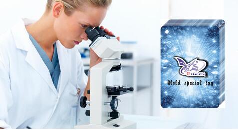 潮濕鞋子防霉片